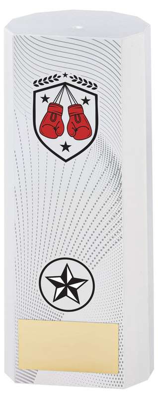 WHITE PLASTIC FILLED COLUMN BOXING (1in CEN) – 6in