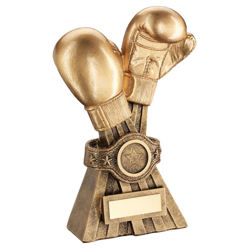GOLD/BRZ BOXING GLOVES WITH BELT WITH PLATE (1in CENTRE) – 6in