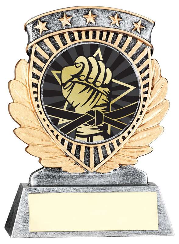PEW/GOLD 5 STAR HOLDER WITH VINYL MARTIAL ARTS INSERT & PLATE – 3.75in