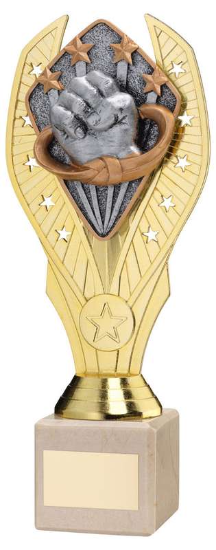 GOLD PLASTIC HOLDER + MARTIAL ARTS DISC ON CREAM MARBLE TROPHY (1in CEN) – 7.75in