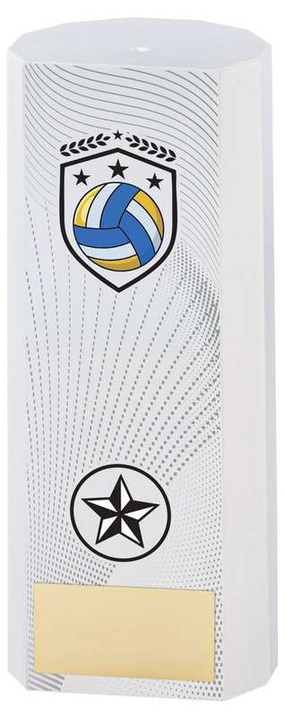 WHITE PLASTIC FILLED COLUMN NETBALL (1in CEN) – 6in