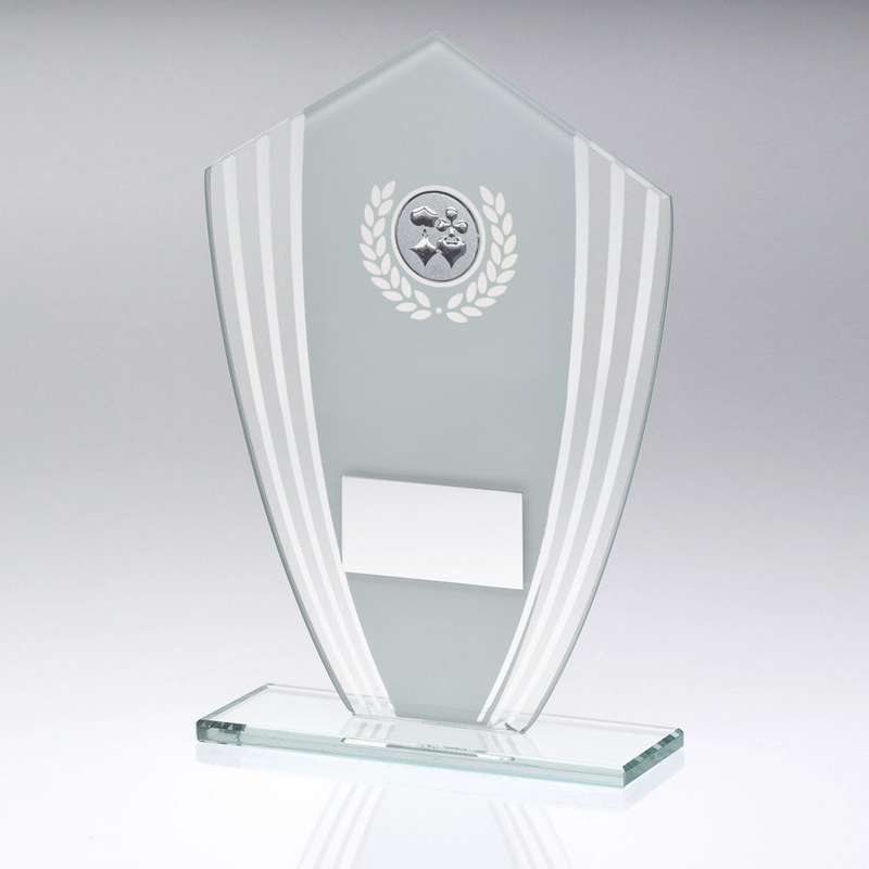 WHITE/SILVER GLASS SHIELD PLAQUE WITH CARDS INSERT & PLATE – 6.5in