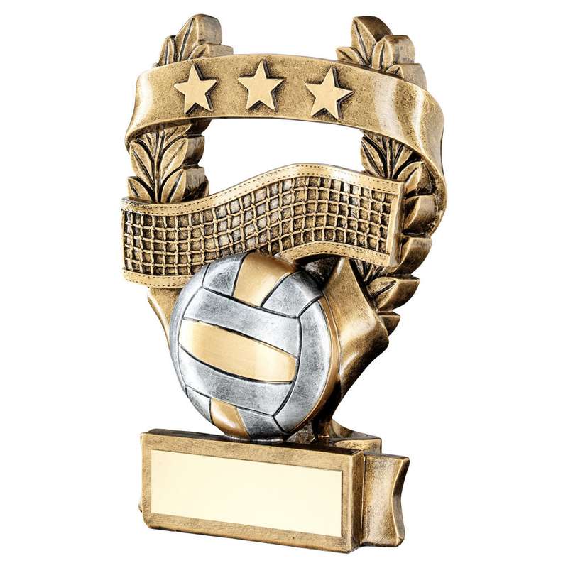 BRZ/PEW/GOLD VOLLEYBALL 3 STAR WREATH AWARD WITH PLATE – 5in