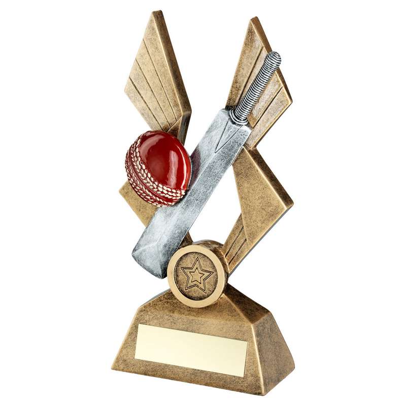 BRZ/PEW/RED CRICKET BALL AND BAT ON POINTED BACKDROP WITH PLATE (1in CEN) – 8in