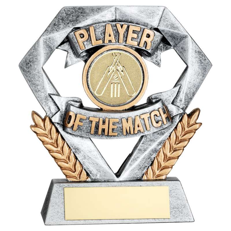 PEW/GOLD PLAYER OF THE MATCH MINI DIAMOND WITH CRICKET INSERT & PLATE – 4in