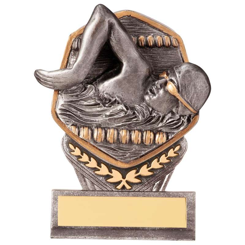 Falcon Swimming Male Award