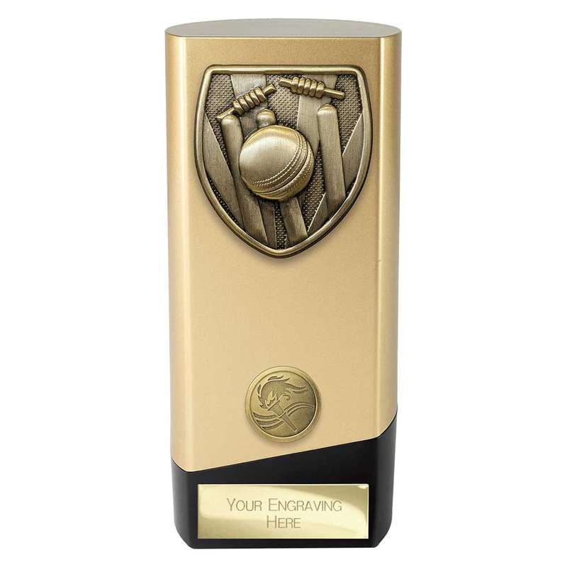 Prime Cobra Cricket Award