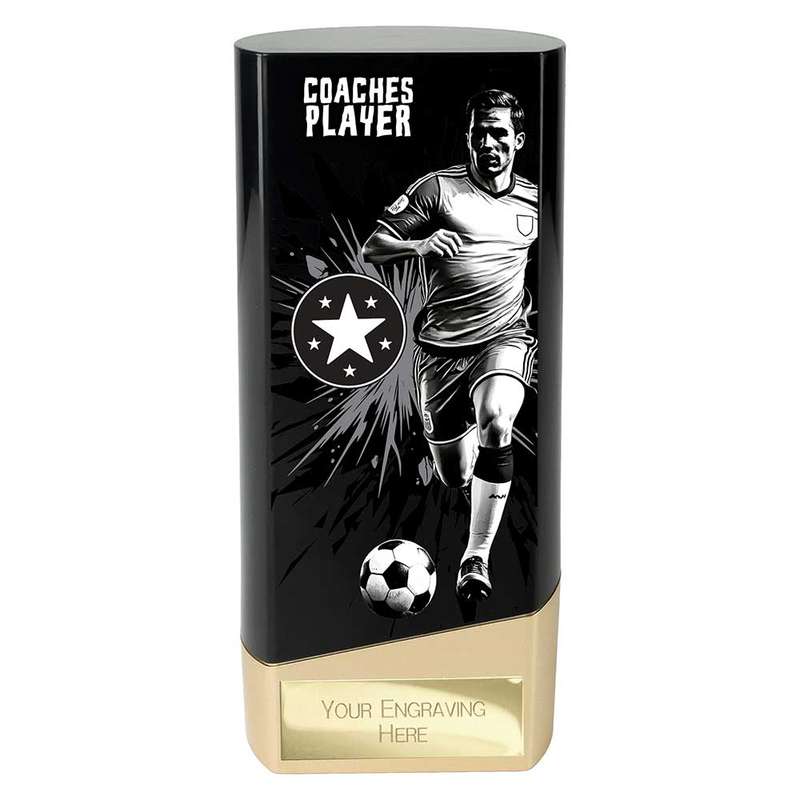 Prime Heavyweight Coaches Player