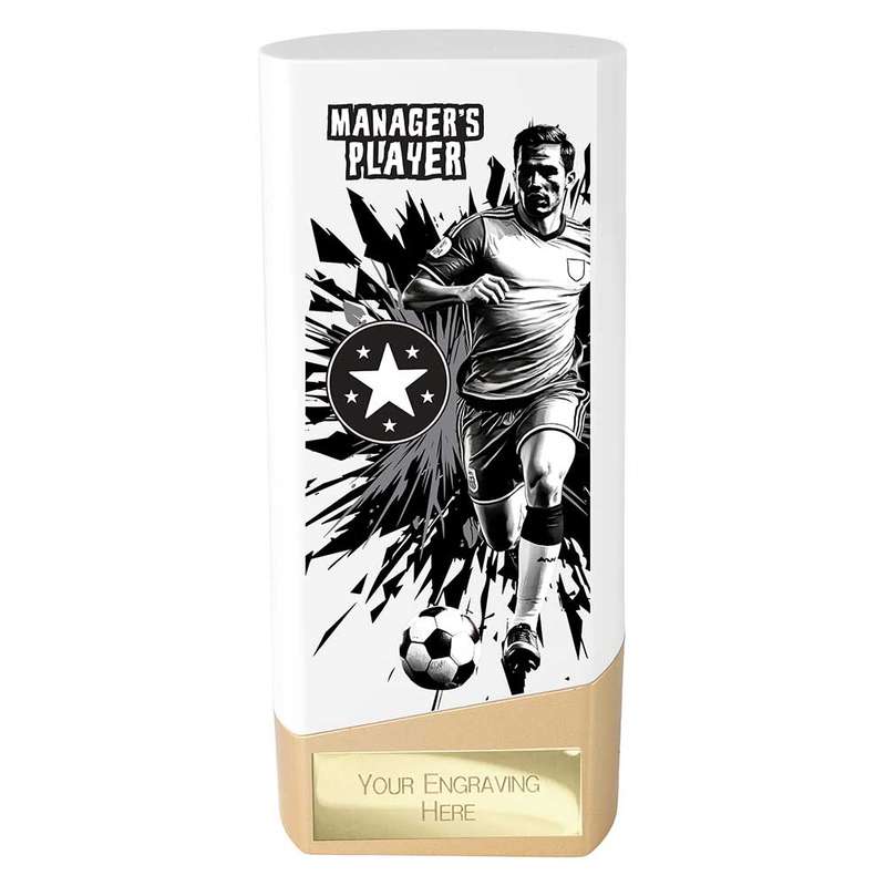 Prime Heavyweight Managers Player