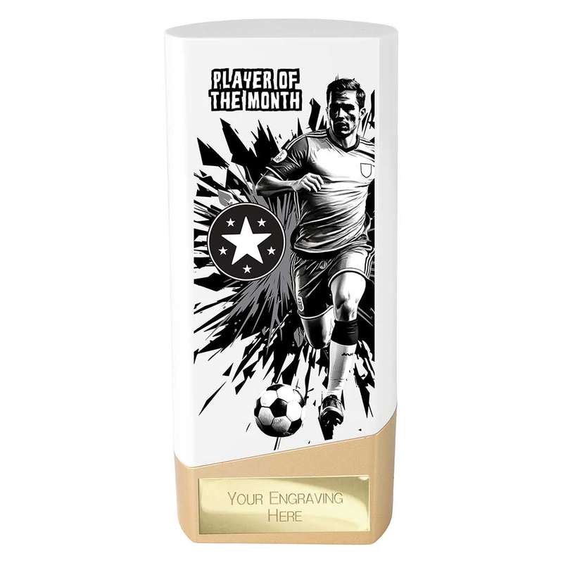 Prime Heavyweight Player of the Month