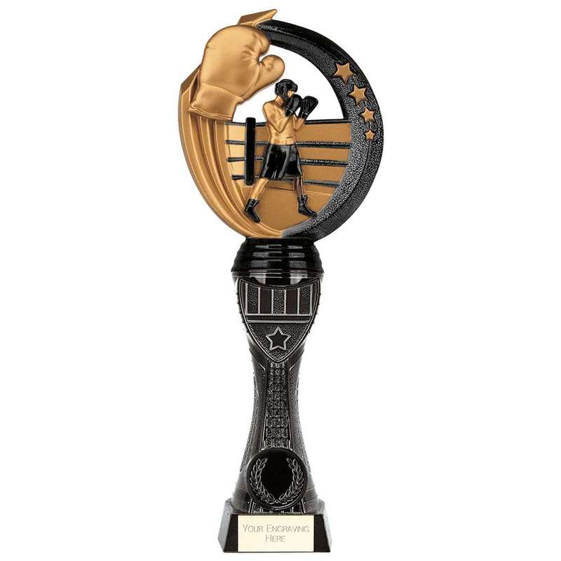 Renegade Heavyweight Boxing Award