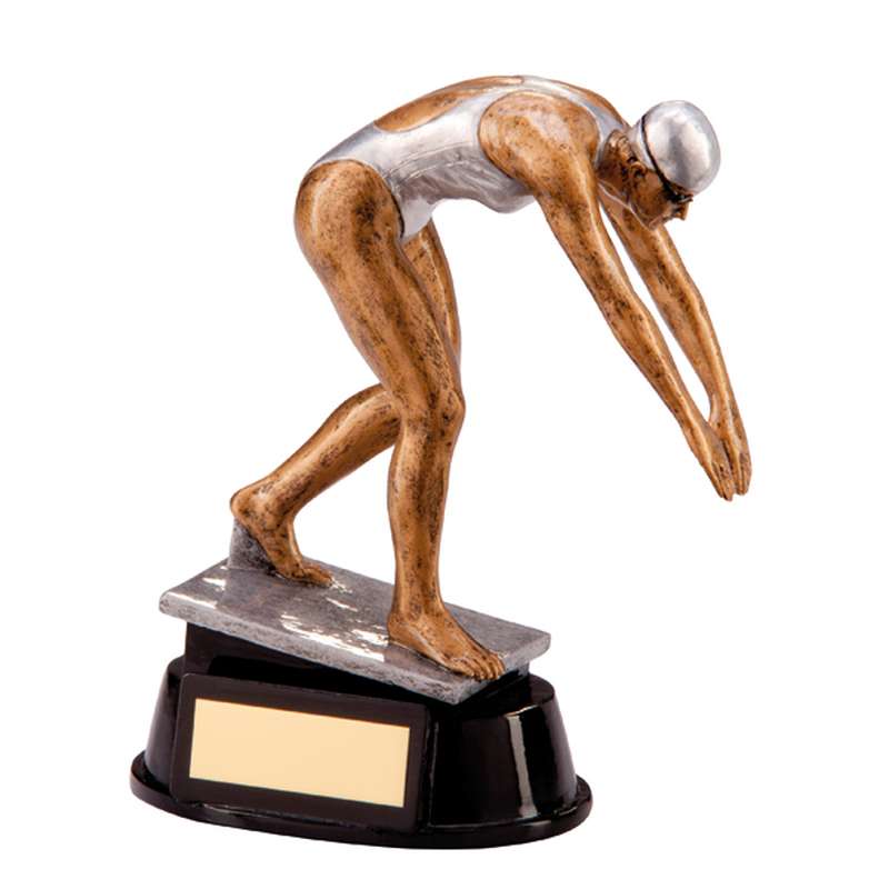 Motion Extreme Swimming Award