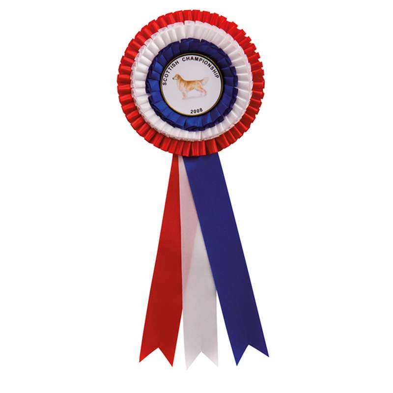 Union Rosette Red White & Blue